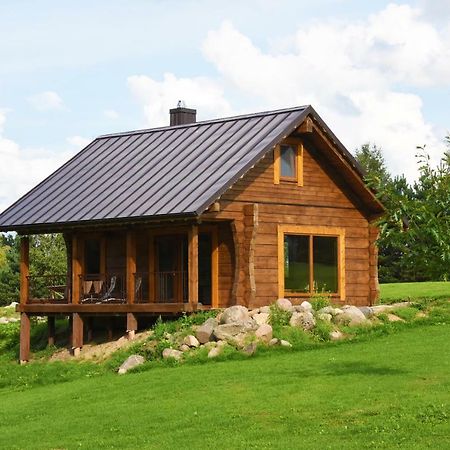 Vip Forest Dreams Villa Anyksciai Exterior photo