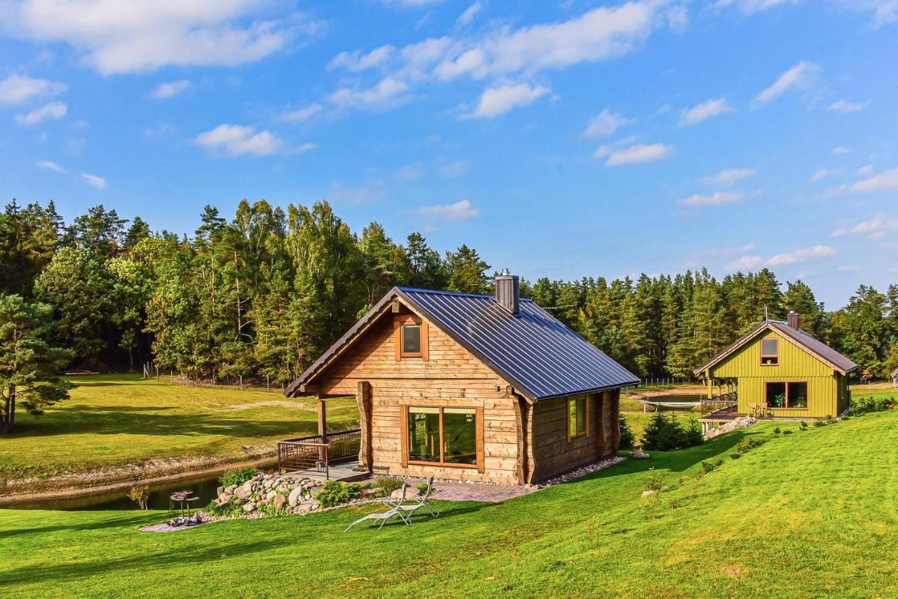 Vip Forest Dreams Villa Anyksciai Exterior photo