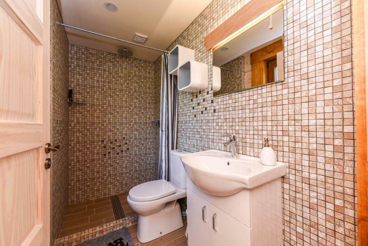 Vip Forest Dreams Villa Anyksciai Exterior photo