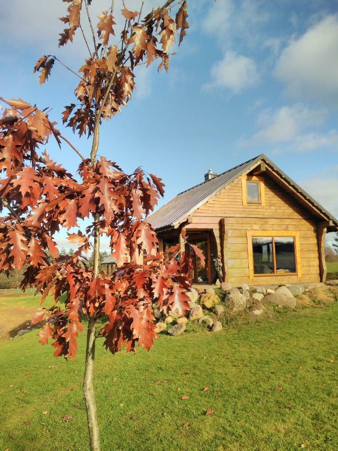 Vip Forest Dreams Villa Anyksciai Exterior photo