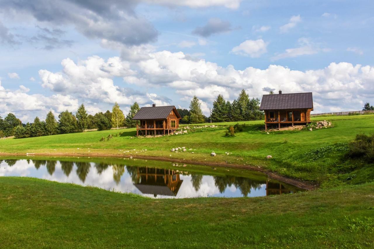 Vip Forest Dreams Villa Anyksciai Exterior photo