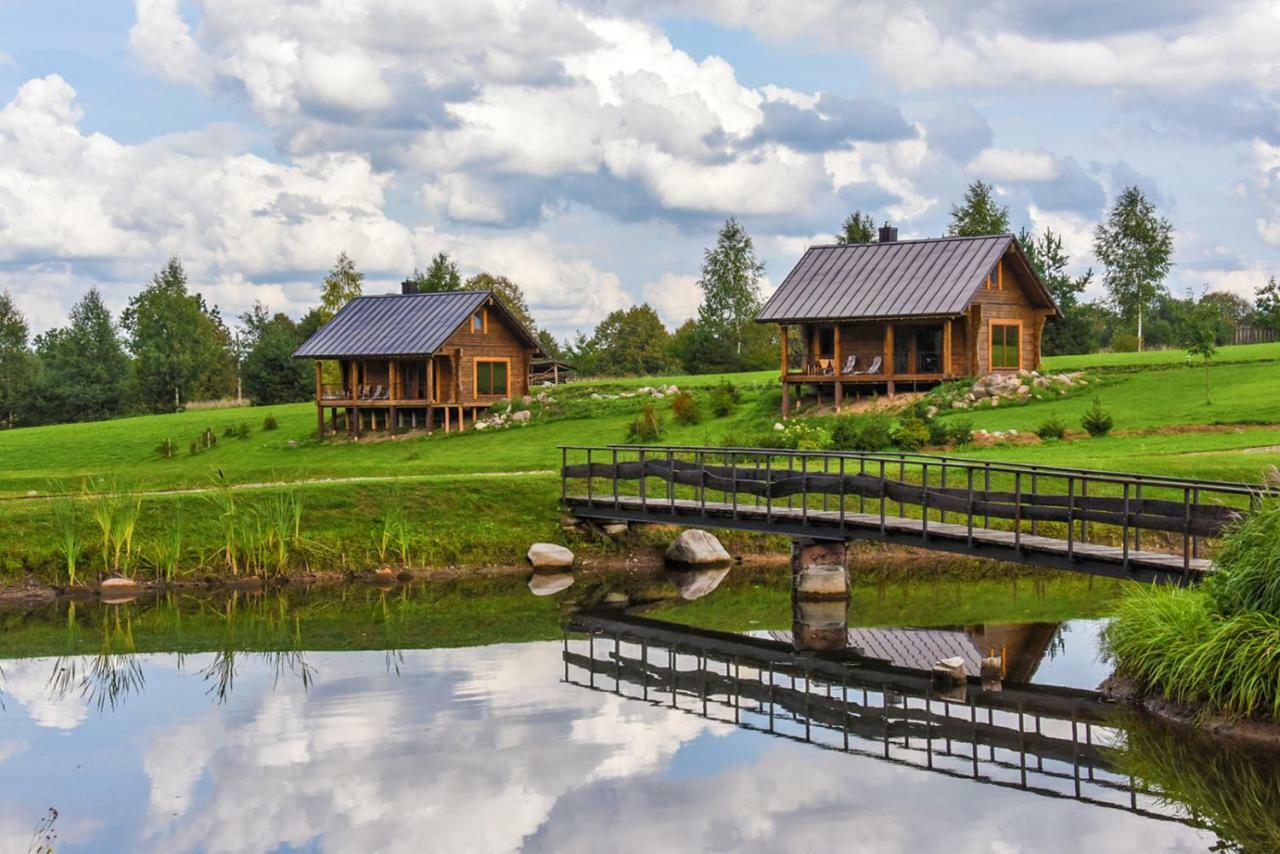 Vip Forest Dreams Villa Anyksciai Exterior photo