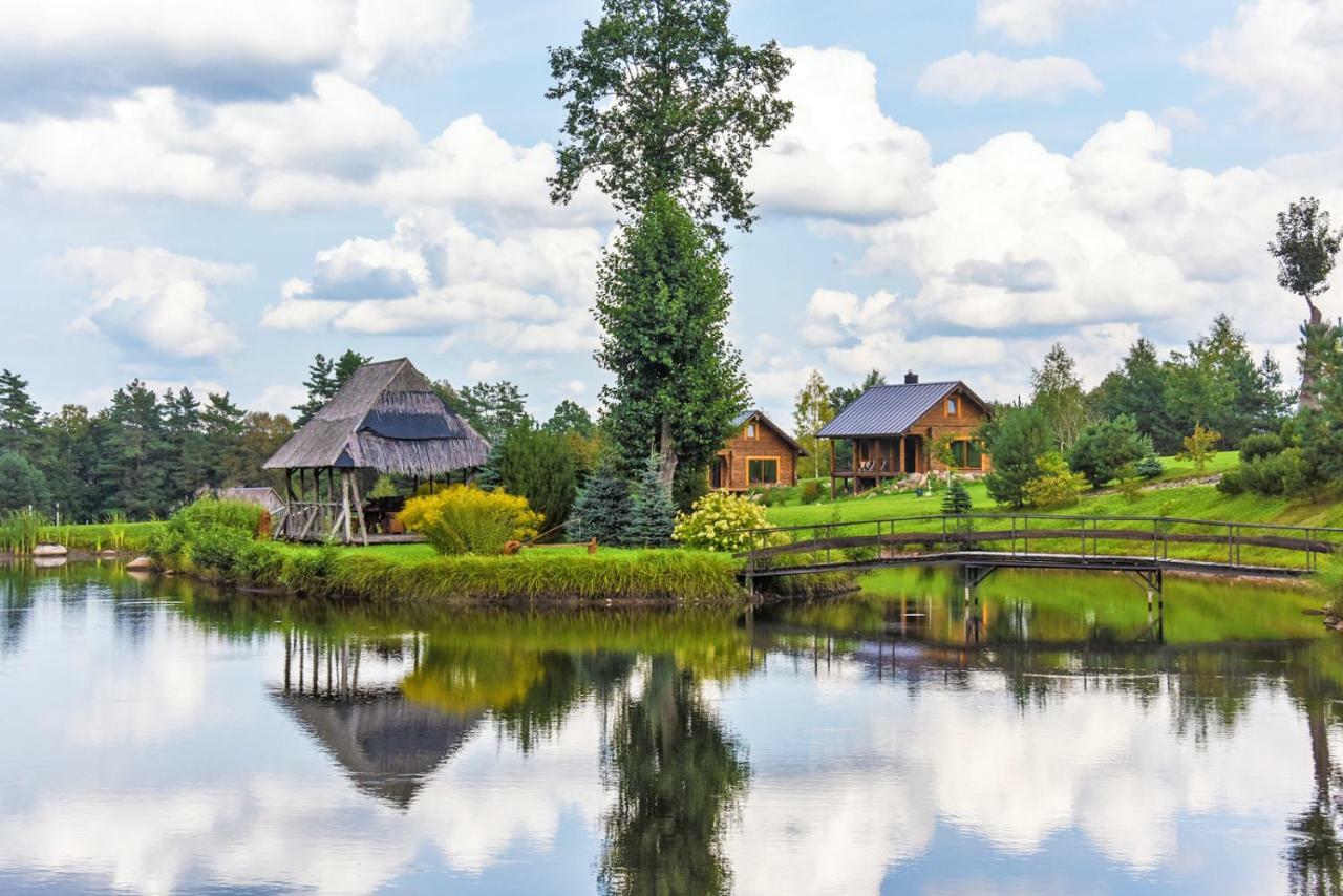 Vip Forest Dreams Villa Anyksciai Exterior photo